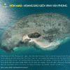 Hòn Mao - Hoang đảo giữa vịnh Vân Phong